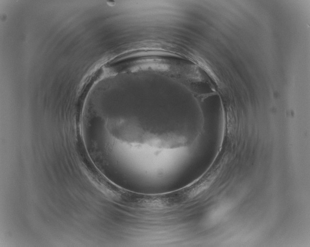 X0000075900349200609151417