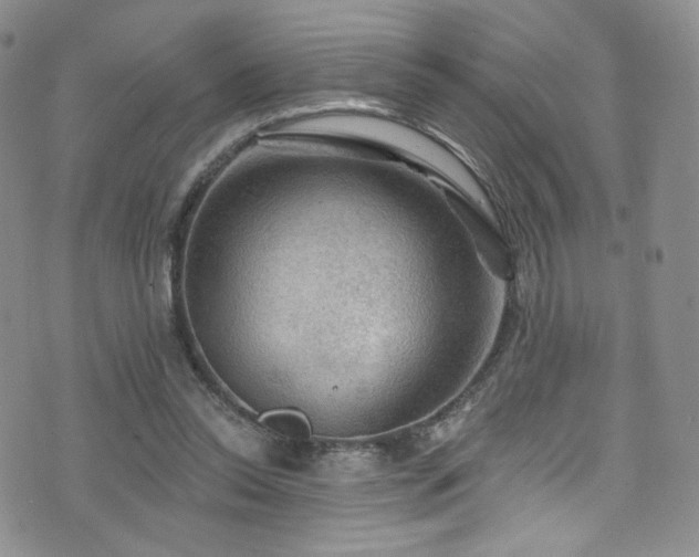 X0000075900350200609151417