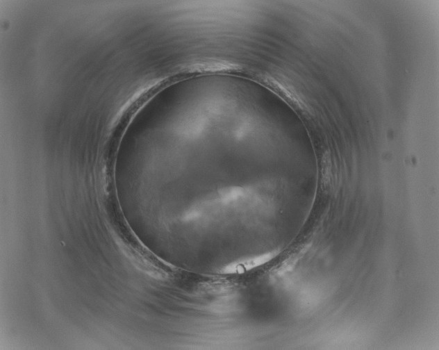 X0000075900351200609151417