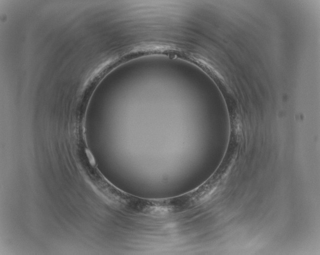 X0000075900352200609151417