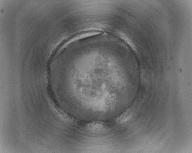 X0000075900354200609151417