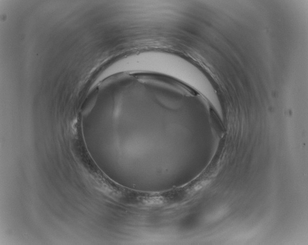 X0000075900355200609151417