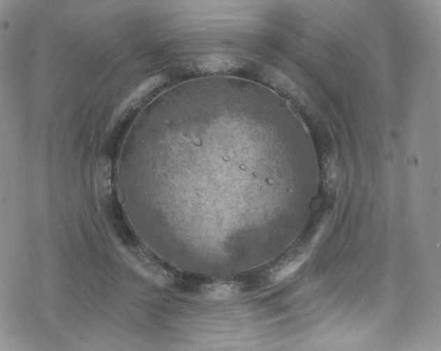 X0000075900356200609151417