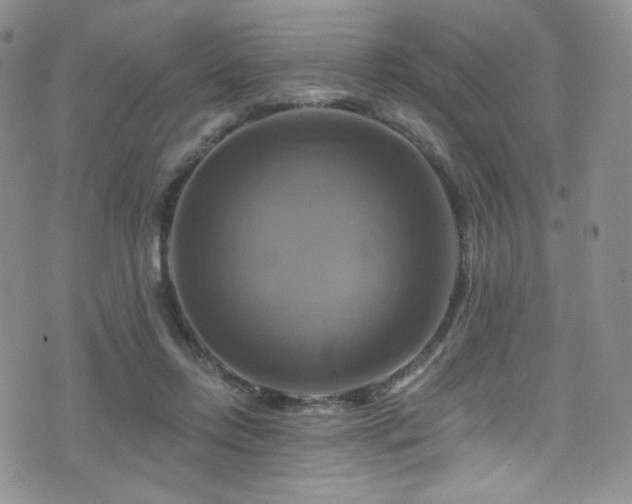 X0000075900358200609151417