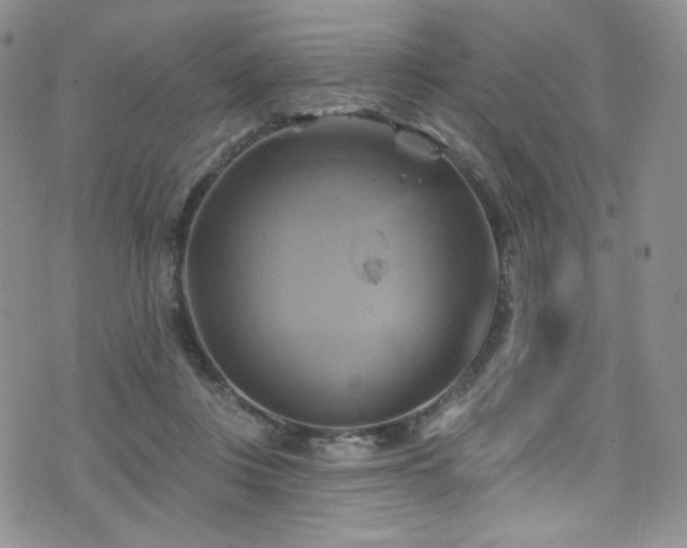 X0000075900359200609151417