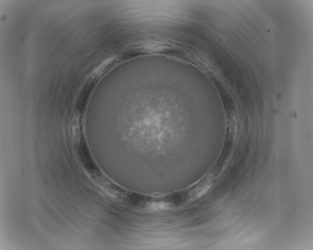 X0000075900360200609151417