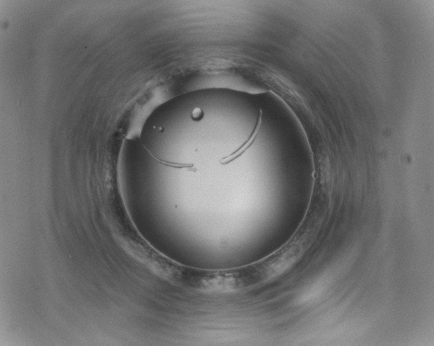 X0000075900362200609151417