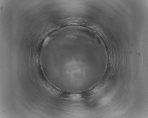 X0000075900363200609151417