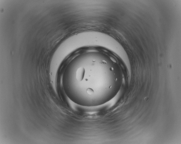 X0000075900364200609151417