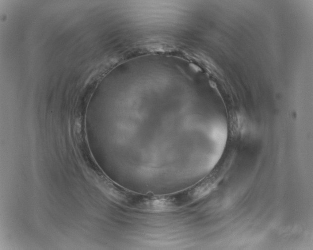 X0000075900365200609151417