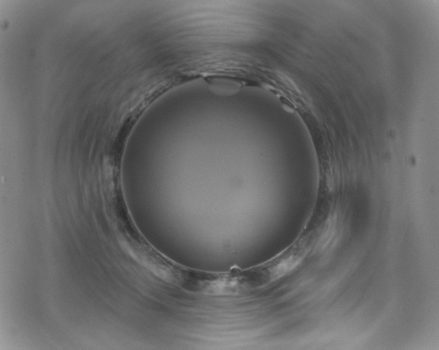 X0000075900366200609151417