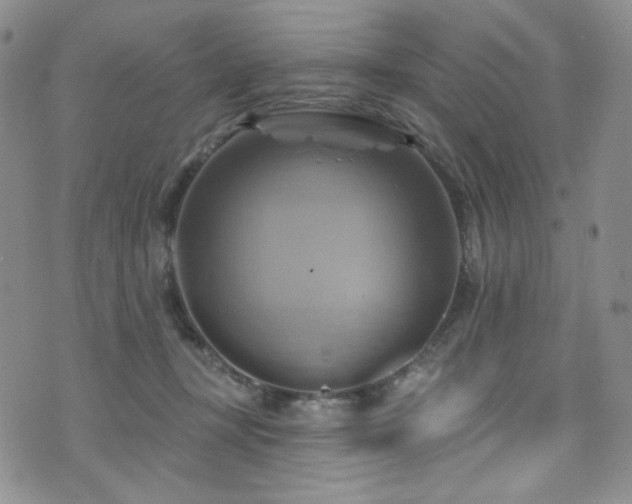 X0000075900367200609151417