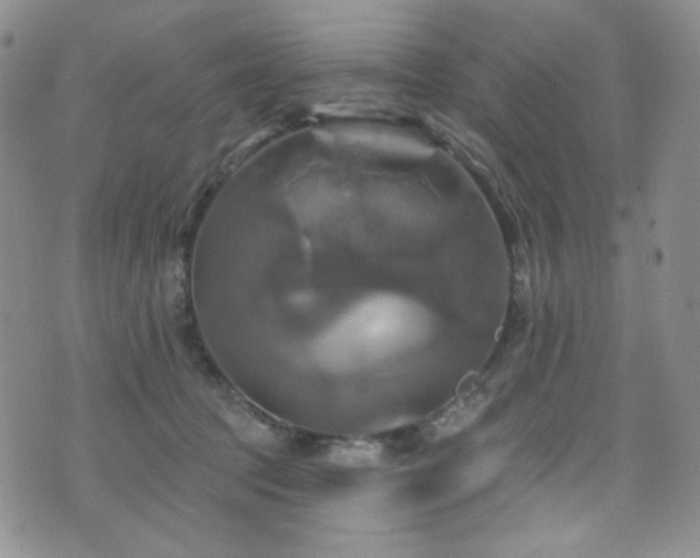 X0000075900369200609151417