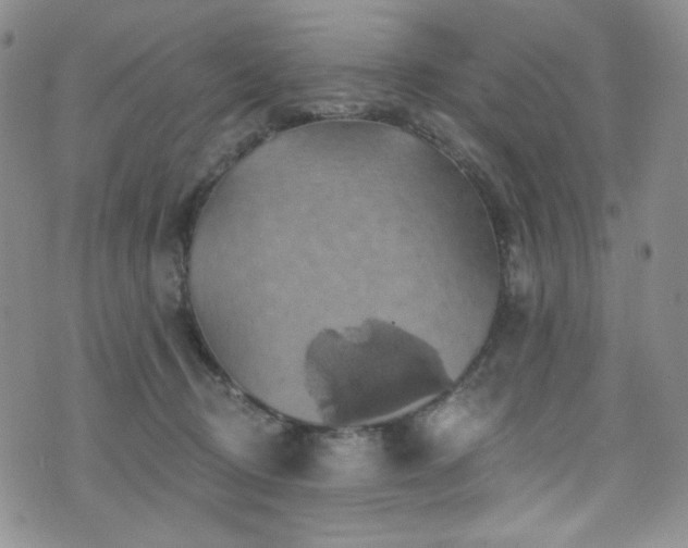 X0000075900370200609151417