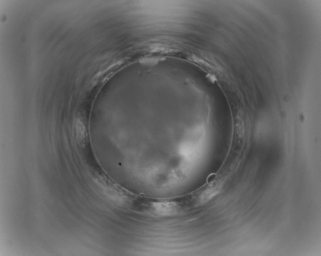 X0000075900371200609151417