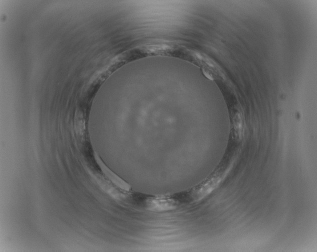 X0000075900372200609151417