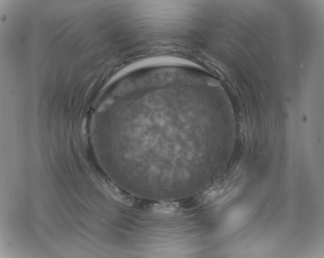 X0000075900373200609151417