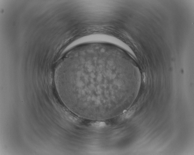 X0000075900374200609151417