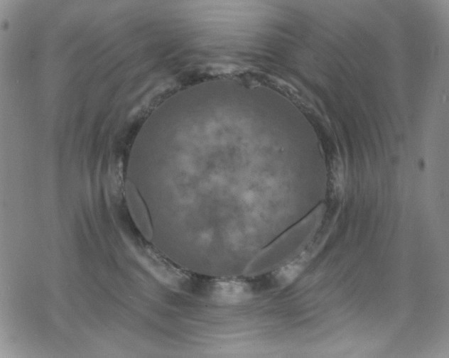 X0000075900376200609151417