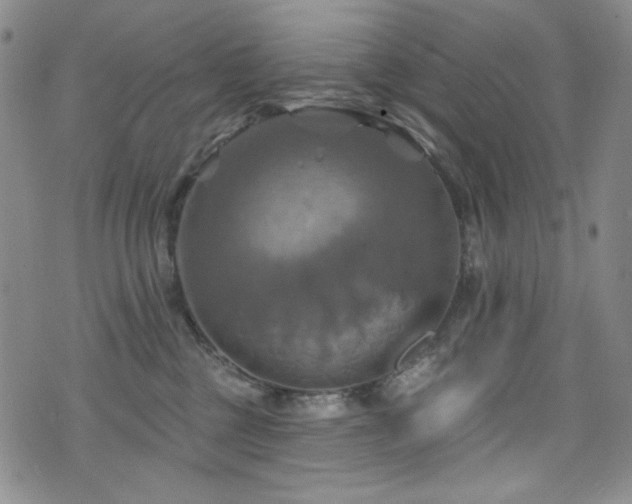 X0000075900377200609151417