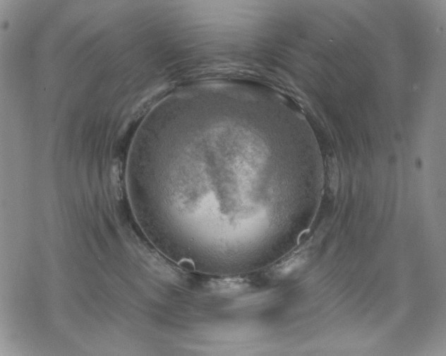 X0000075900378200609151417