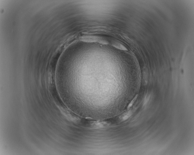 X0000075900379200609151417