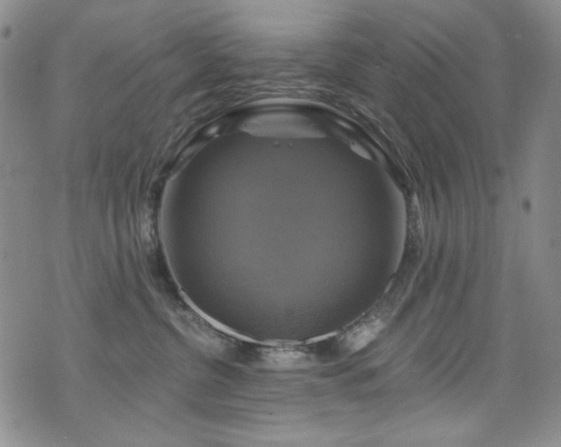 X0000075900380200609151417