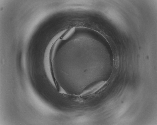 X0000075900383200609151418