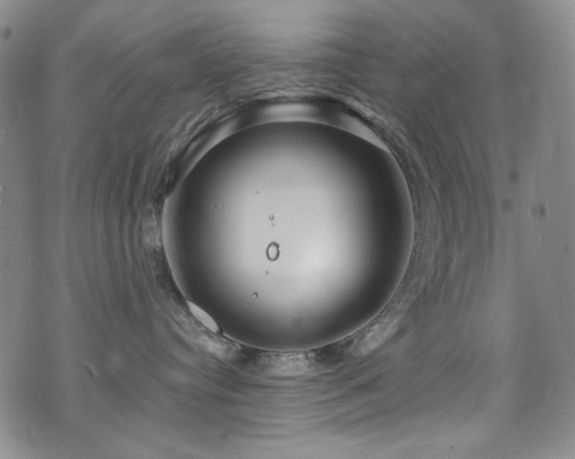 X0000075900384200609151418