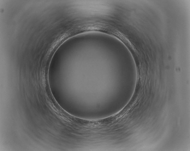 X0000075900386200609151417