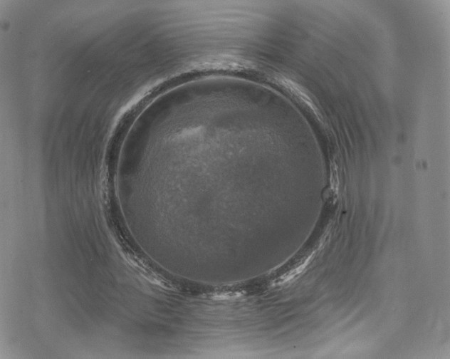 X0000075900388200609151417