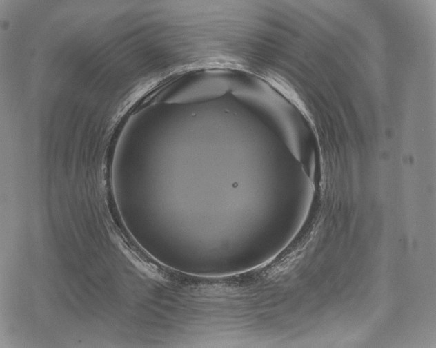 X0000075900389200609151417