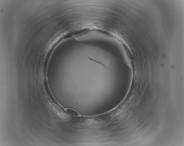 X0000075900390200609151417