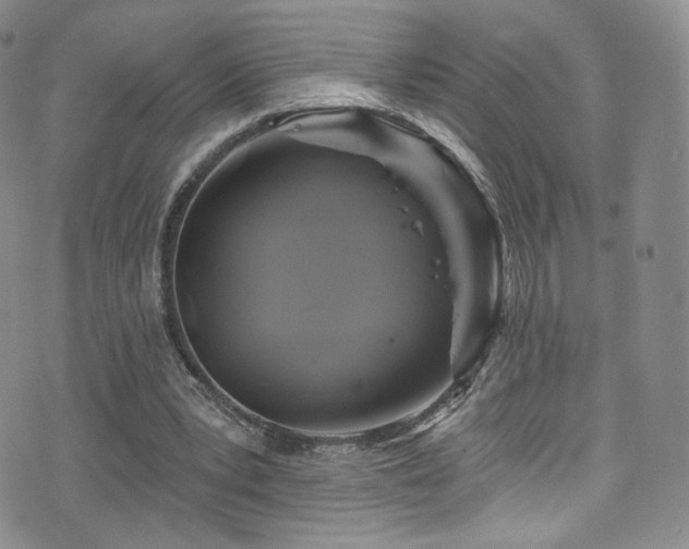 X0000075900391200609151417