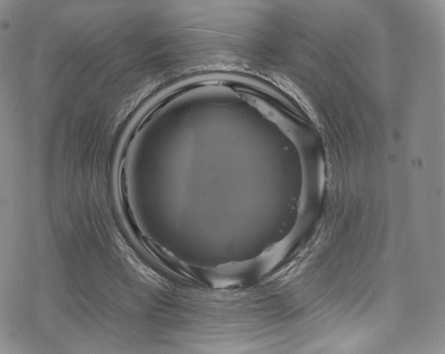 X0000075900393200609151417