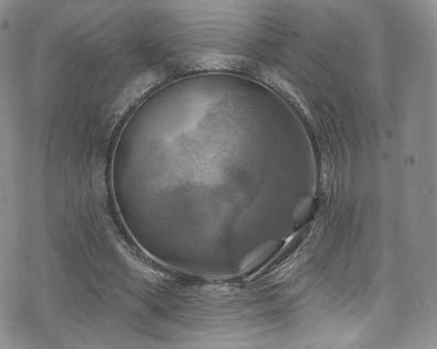 X0000075900394200609151417