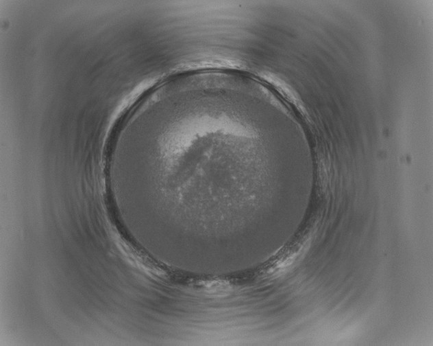 X0000075900395200609151417