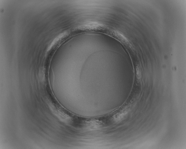 X0000075900396200609151417