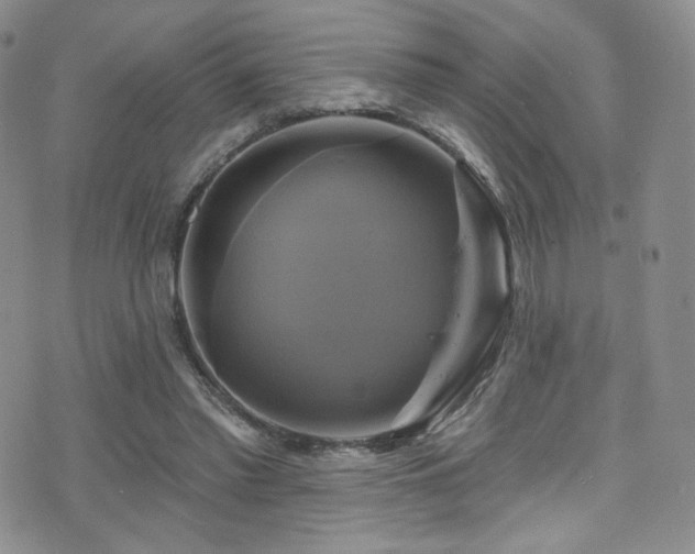 X0000075900397200609151417