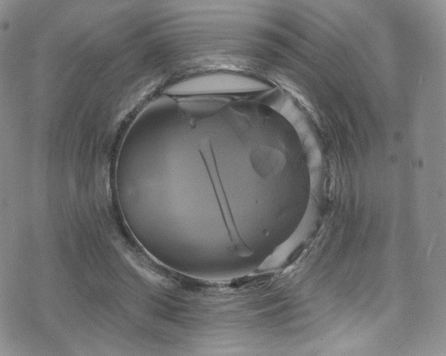 X0000075900398200609151417