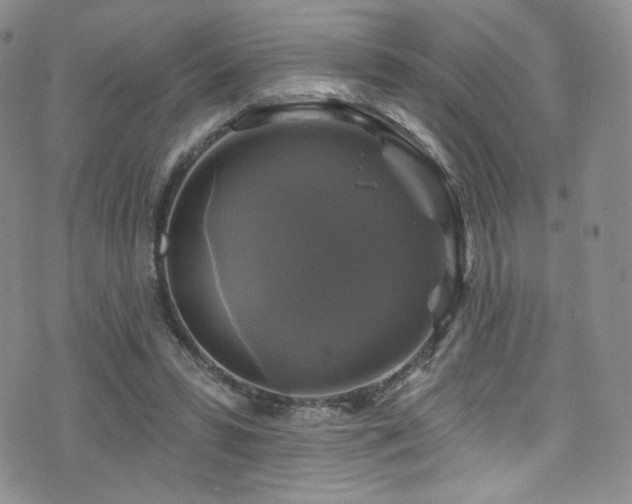 X0000075900399200609151417