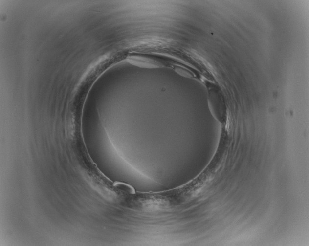 X0000075900400200609151417