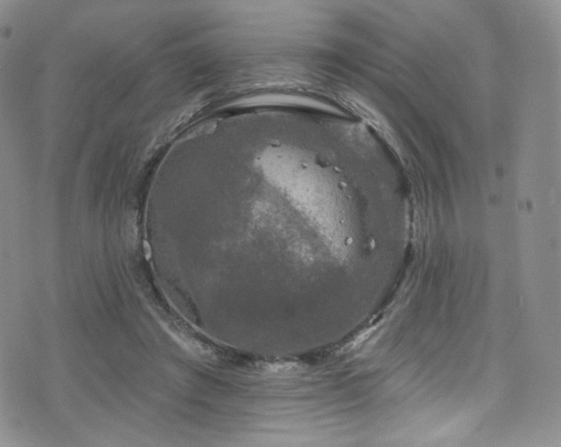 X0000075900401200609151416