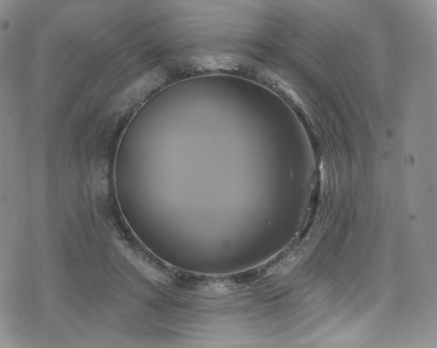 X0000075900402200609151416