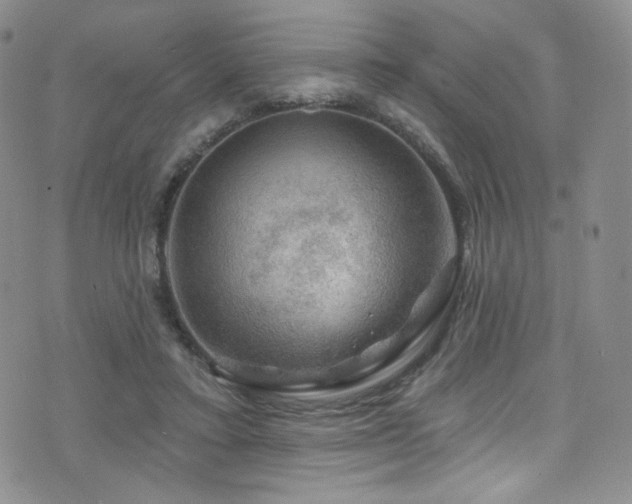 X0000075900403200609151416