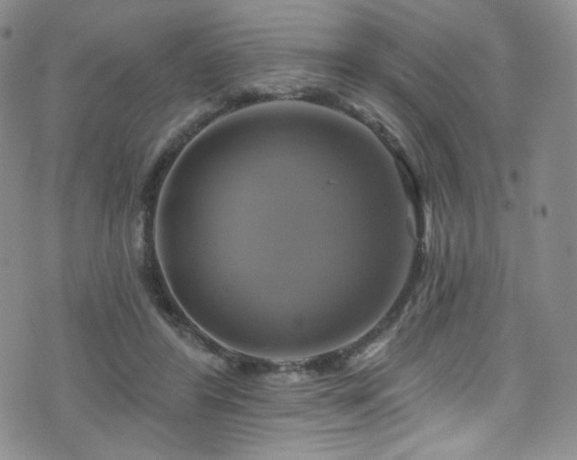 X0000075900404200609151416