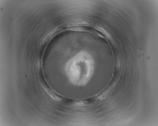 X0000075900405200609151416