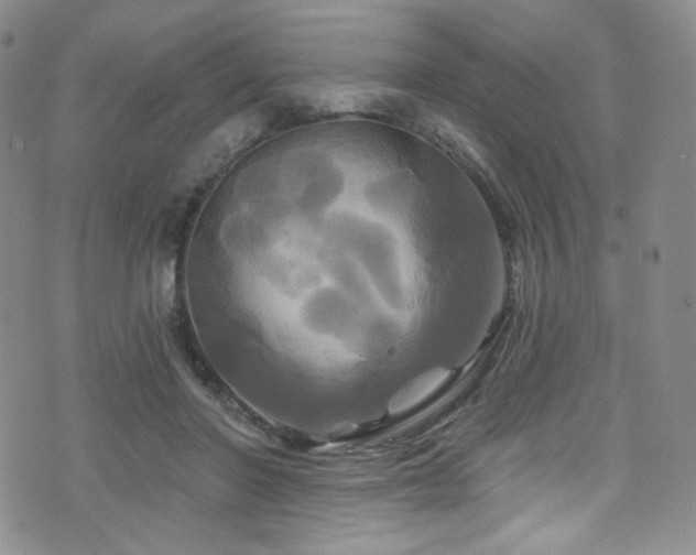 X0000075900406200609151416