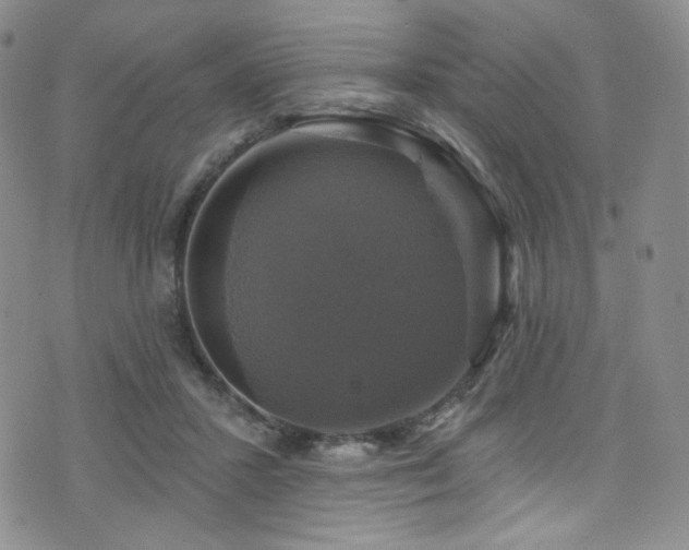 X0000075900407200609151416