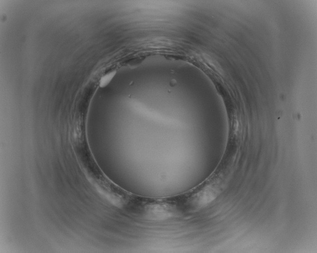 X0000075900408200609151416